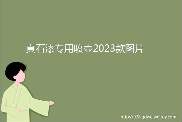 真石漆专用喷壶2023款图片